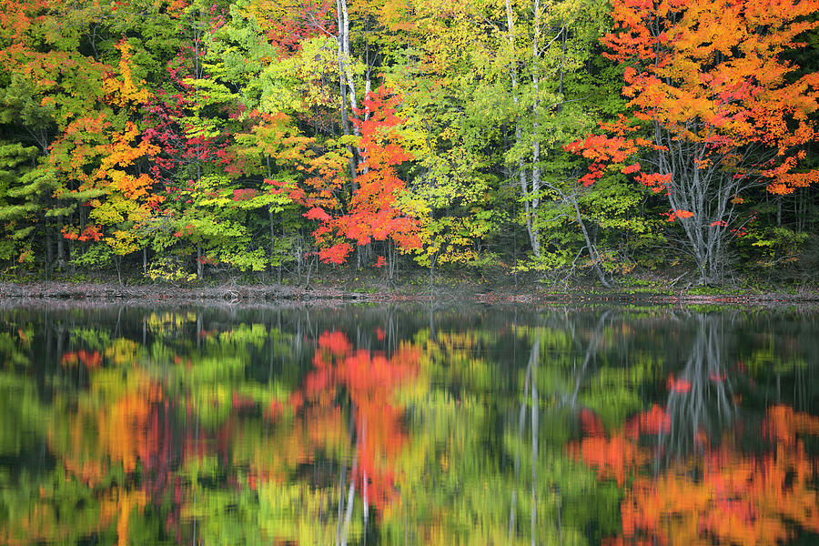 Brilliant red sugar maple trees reflection at Upper Michigan's Moccasin ...