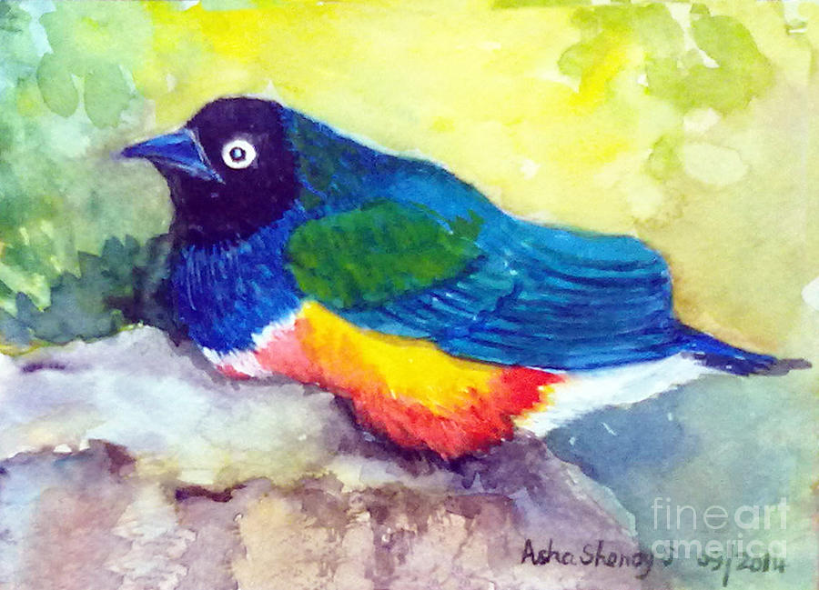 Brilliant Starling Painting by Asha Sudhaker Shenoy