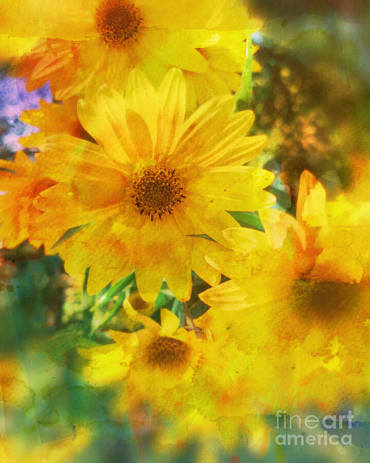 Brilliant Sunflowers Photograph by Luther Fine Art