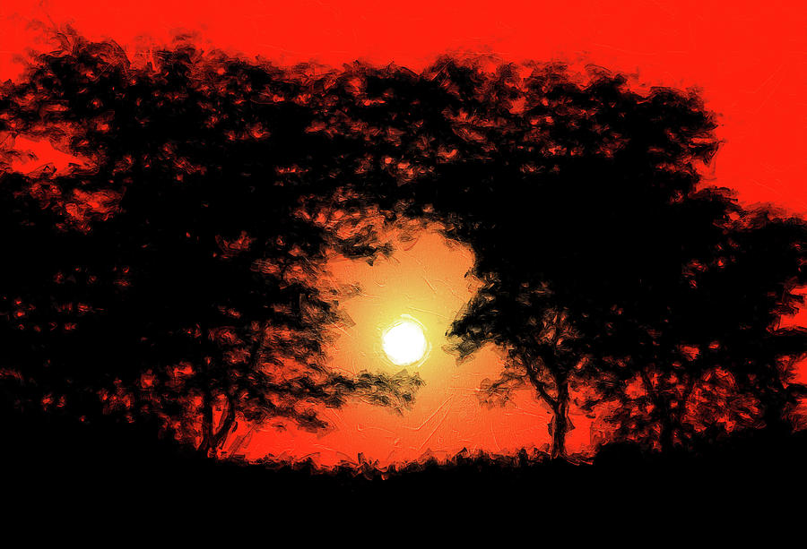 Brilliant Sunrise Silhouette Landscape Mixed Media by Dan Sproul