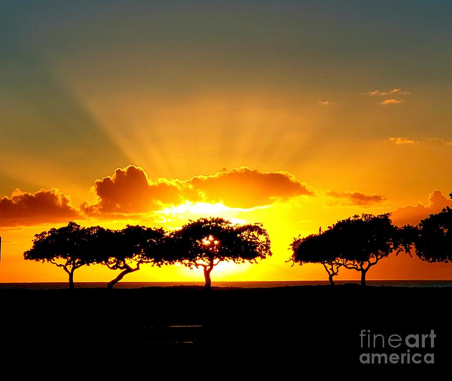 Brilliant Sunset Photograph By Craig Wood Fine Art America