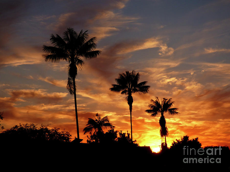 Brilliant Sunset Photograph By Julieanne Case Fine Art America