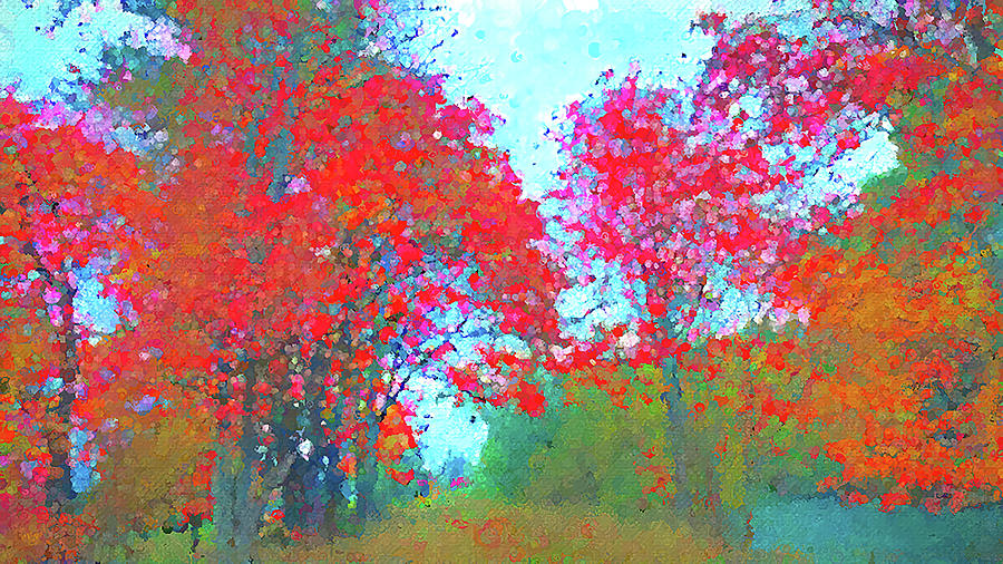 Brilliant Trees in Fall color Digital Art by Cathy Anderson