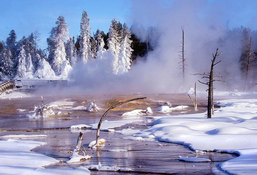Yellowstone National Park Photograph - Brilliant Winter Day by Greg Sigrist
