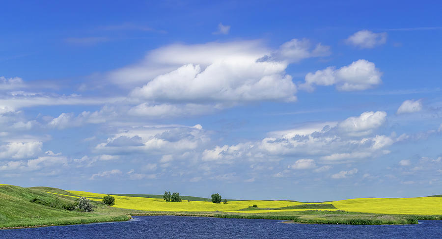 Brilliant Yellow Fields and Vibrant Blue Skies Photograph by Mary Tastad Brilliant Yellow Fields and Vibrant Blue Skies Photograph by Mary Tastad