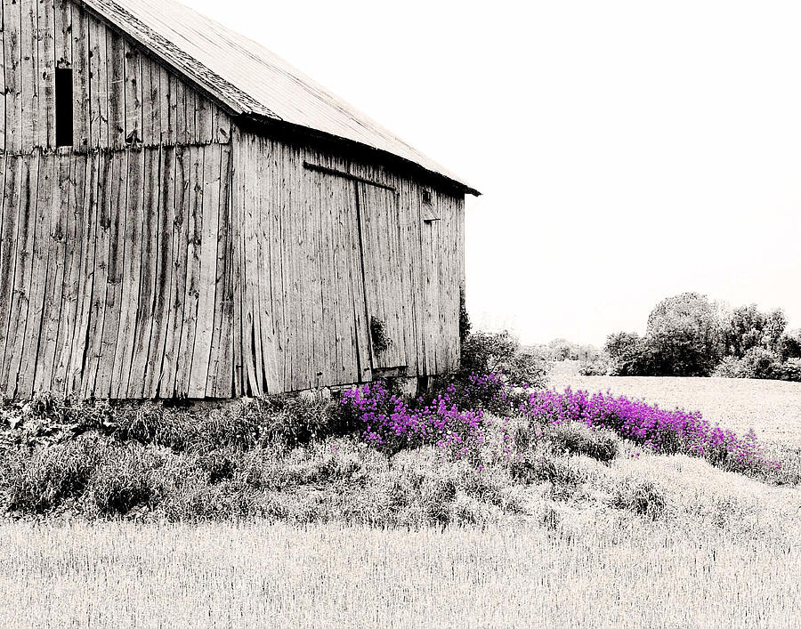 Brillion Barn with flowers Digital Art by Stacey Carlson