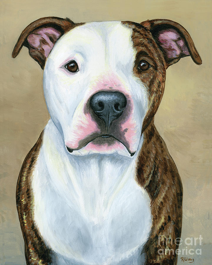 Brindle and White Pit Bull Terrier Dog Painting by Rebecca Wang