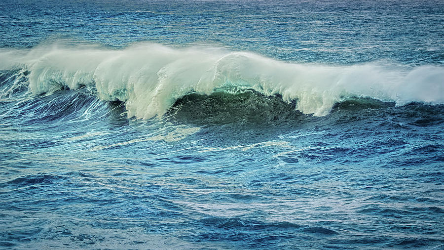 Bring The Ocean Inside Photograph by Bill Posner