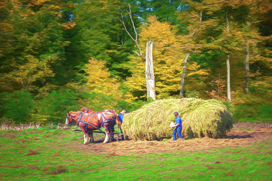 Bringing in the Hay Photograph by Tom Mc Nemar