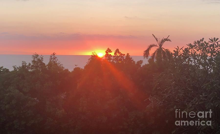 Sunset Photograph - Bringing Joy Into Your Life by Karen Nicholson