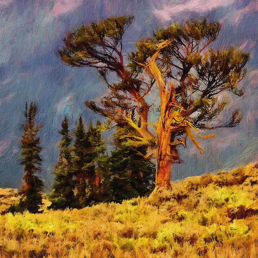 Bristlecone Pine - Ancient Tree Digital Art by Russ Harris
