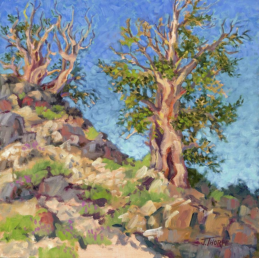 Bristlecone Pines Painting by Jane Thorpe