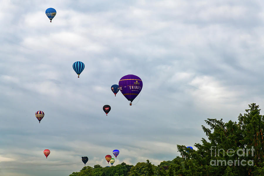 Bristol Balloon Fiesta Photograph by Catherine Sullivan