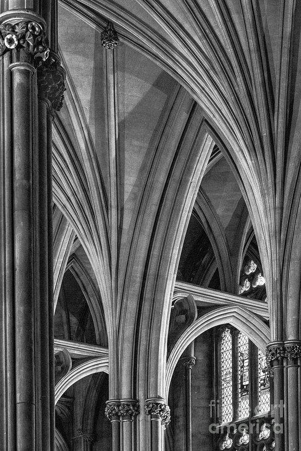 Bristol Cathedral Vaulting Photograph by Catherine Sullivan