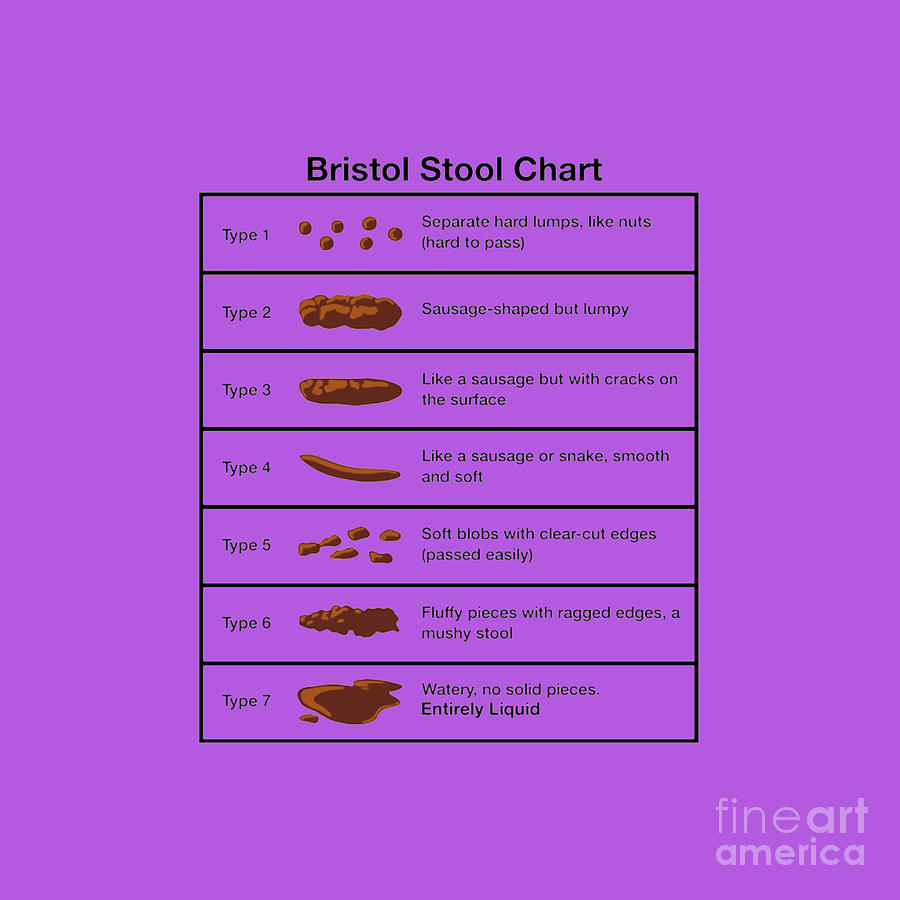 Bristol Stool Chart Drawing by Charlotte C Johns - Fine Art America