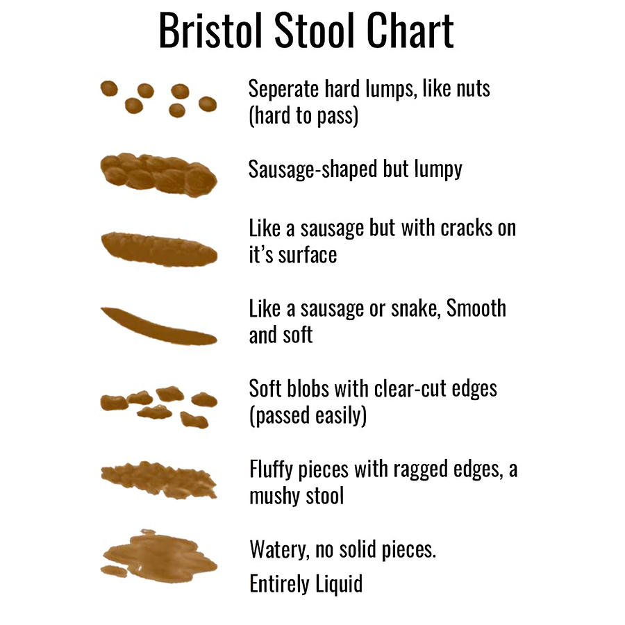 Bristol Stool Chart Painting by Molly White | Pixels