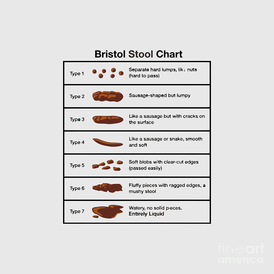 Bristol Stool Chart Drawing by Violet Riyanti - Fine Art America