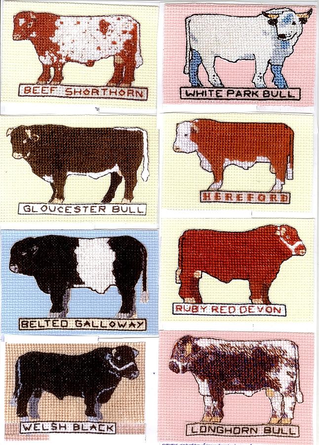 British Cattle In Crossstitch Tapestry - Textile By Jacqueline Walden 