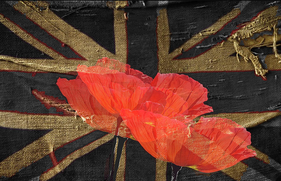 British Flag Poppies Digital Art by Katy Parks Wilson - Fine Art America