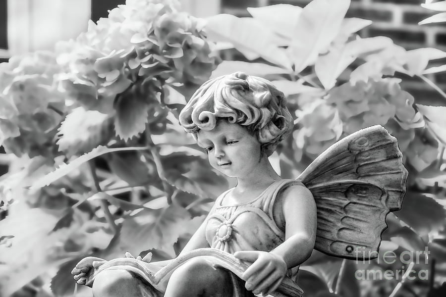 British Reading Fairy in Garden Photograph by Susan Vineyard