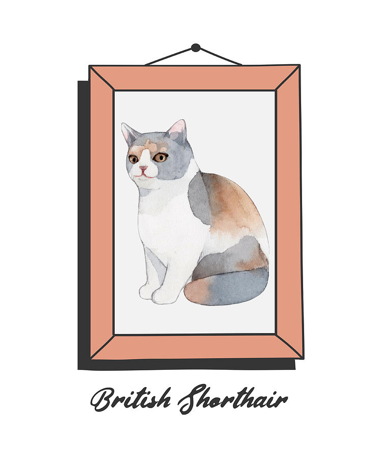 British Shorthair Funny Cat Lover Gift Cute Kitten Owner Gag Pun Portrait  Digital Art by Jeff Brassard - Pixels