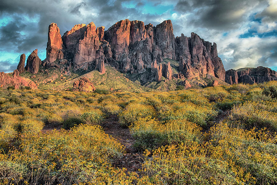 Brittlebush blooms and the Superstition Mountains Photograph by Dave Dilli