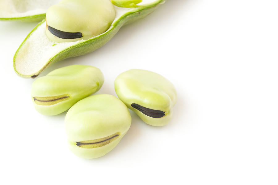 Broad Beans In A Pod Photograph by Pullia
