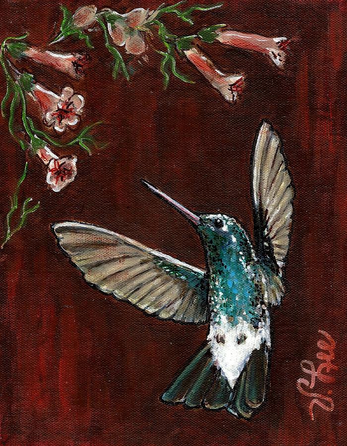 Broad-Billed Hummingbird Painting by VLee Watson