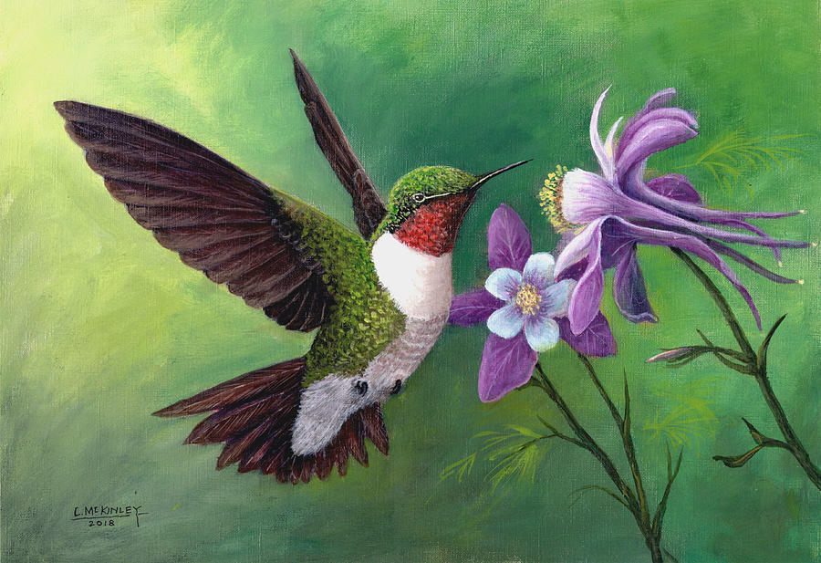 Broad Tail Hummingbird Painting by Carl McKinley