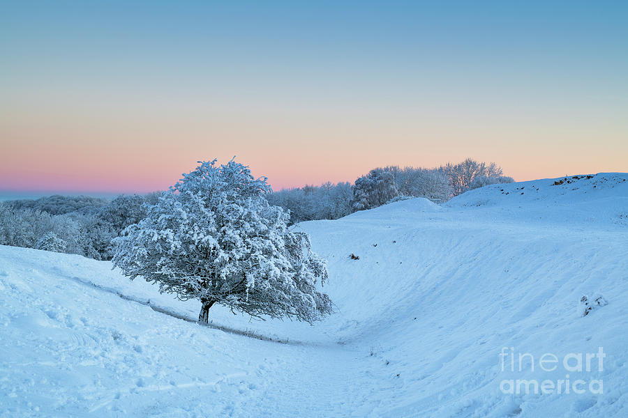 Broadway Hill along the Cotswold Way at Dawn in the Snow Photograph by Tim Gainey