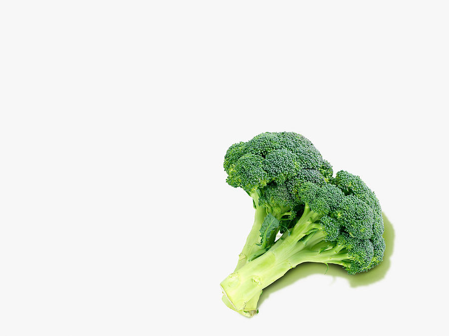 Broccoli Photograph by Image Source