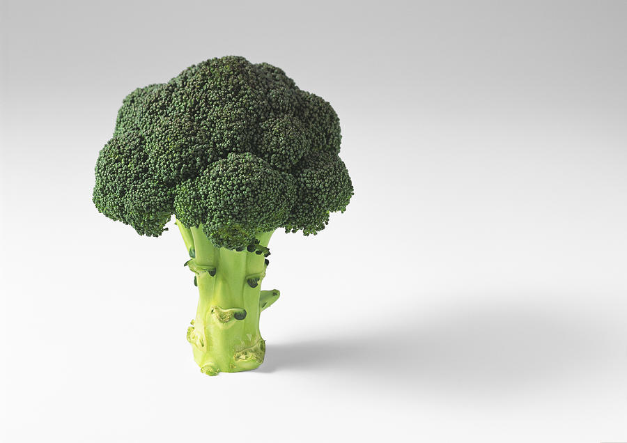 Broccoli Photograph by Isabelle Rozenbaum