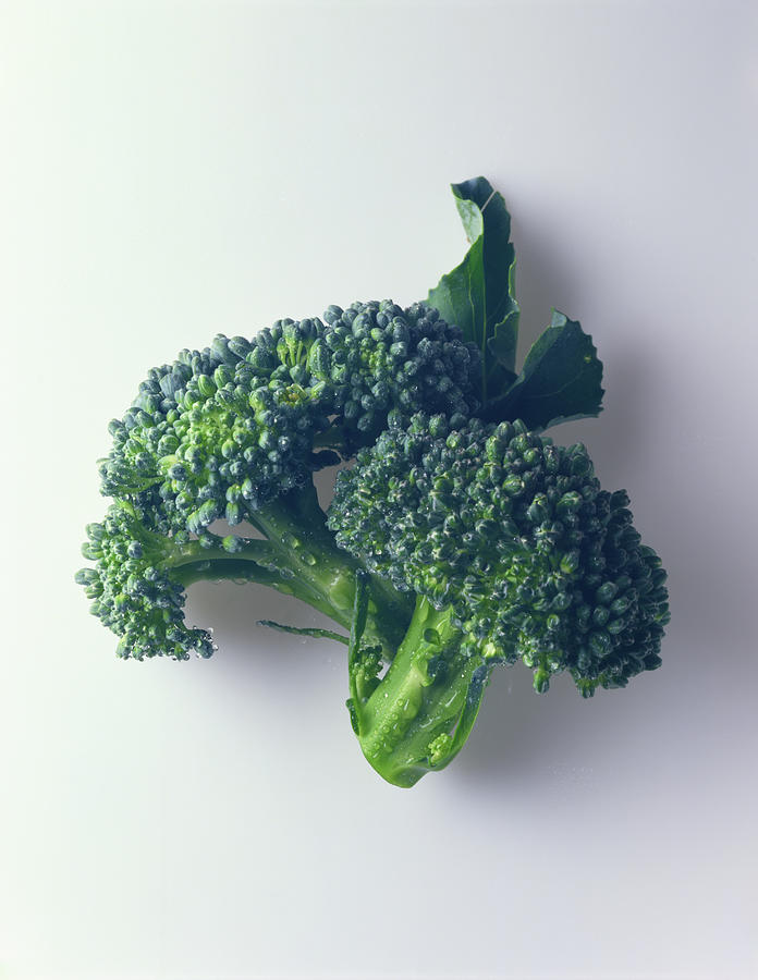 Broccoli Photograph by Jackson Vereen
