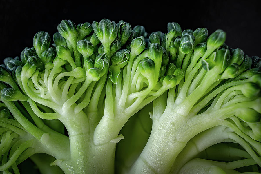 Broccoli Photograph by Nigel R Bell