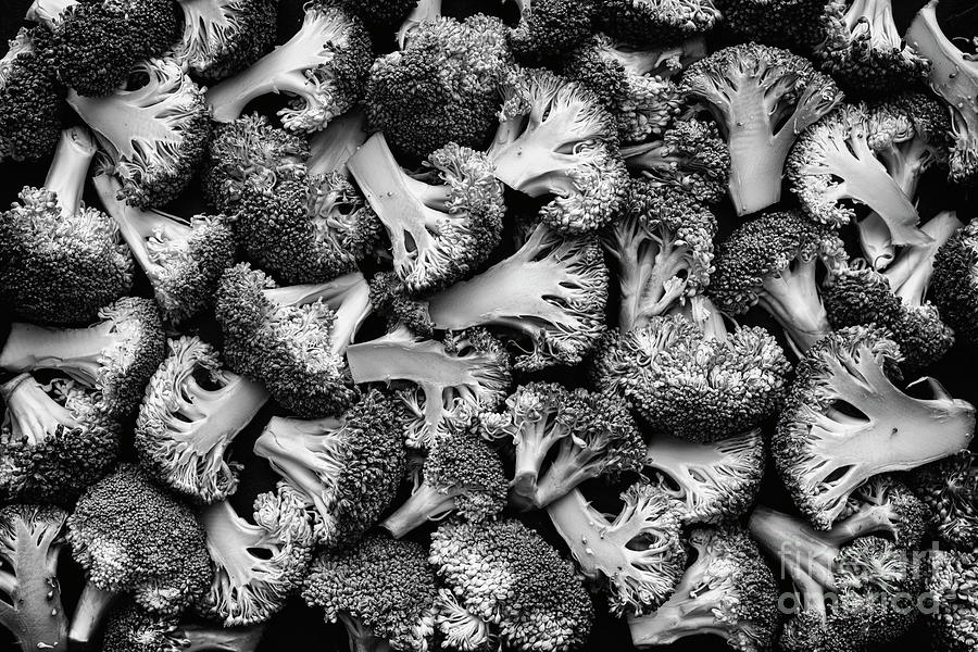 Broccoli Pattern Monochrome Photograph by Tim Gainey