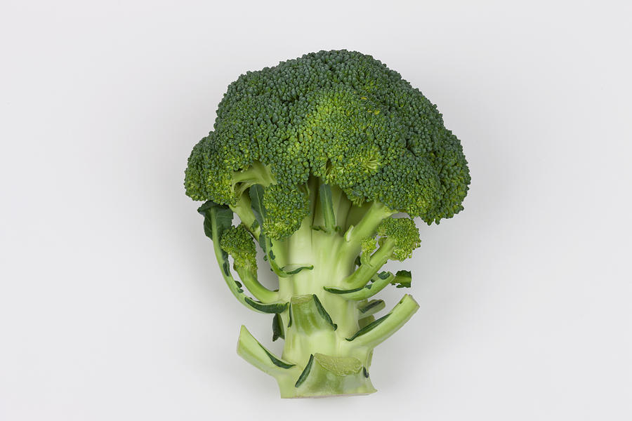 Broccoli Photograph by Y-studio