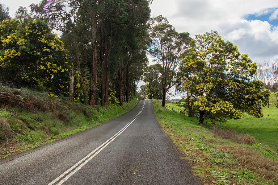 Brockman Highway, Bridgetown, Western Australia Photograph by Elaine Teague