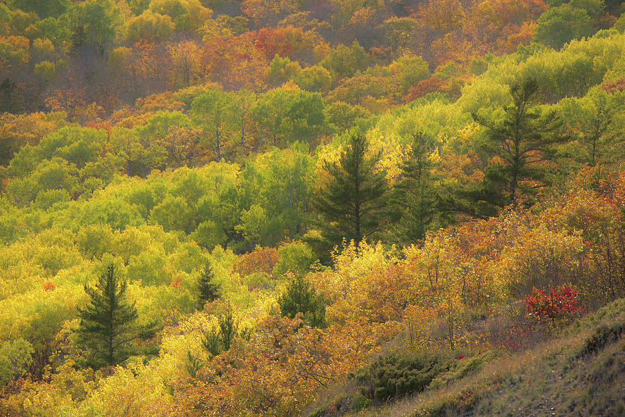 Brockway Mountain Overlook 2 Photograph By Steve Petrides Fine Art