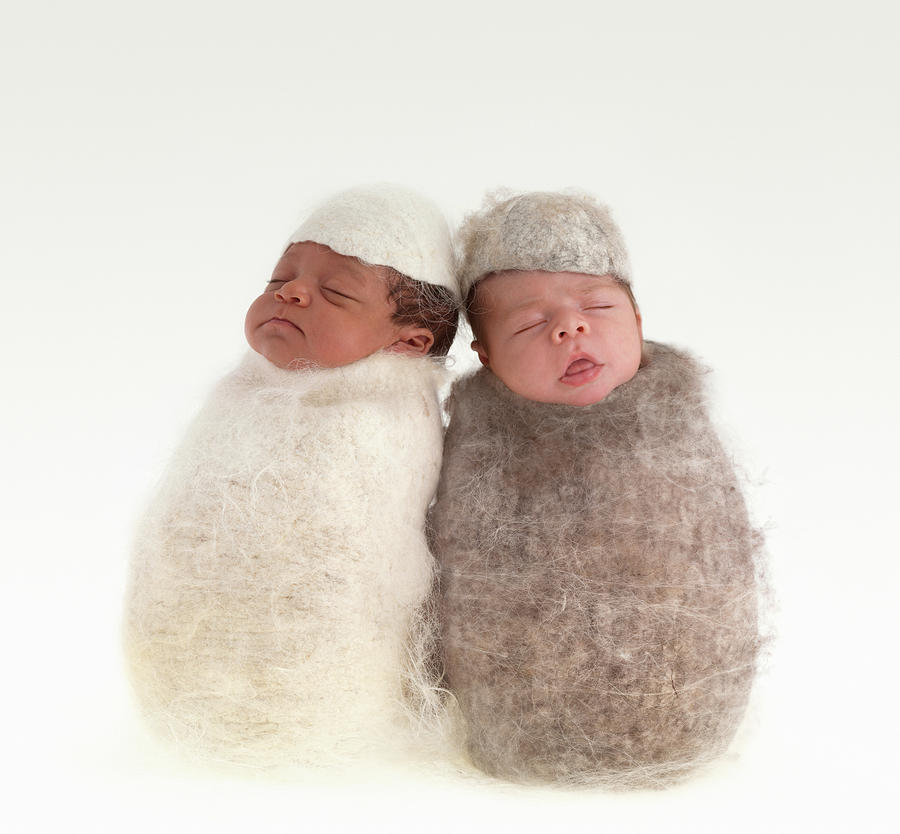 Brodie and Miles as Cocoons Photograph by Anne Geddes