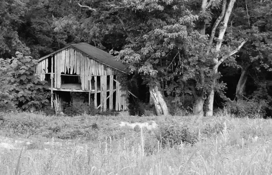 Broken Barn Near Ashland City, Tennessee  Photograph by Ally White