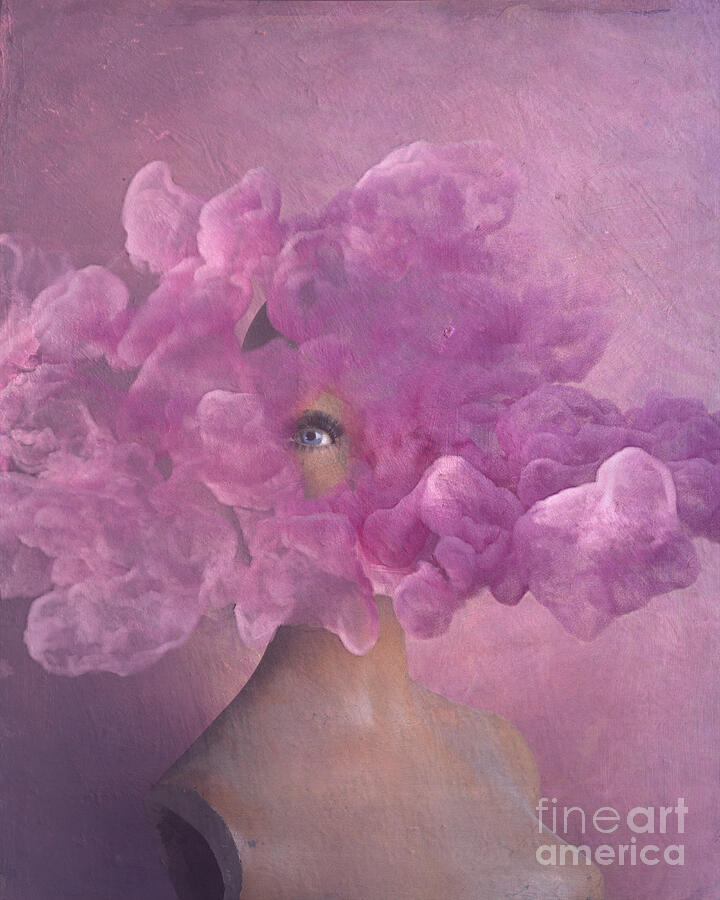 Broken Beauty in Pink Haze. Photograph by Jelena Jovanovic Broken Beauty in Pink Haze. Photograph by Jelena Jovanovic
