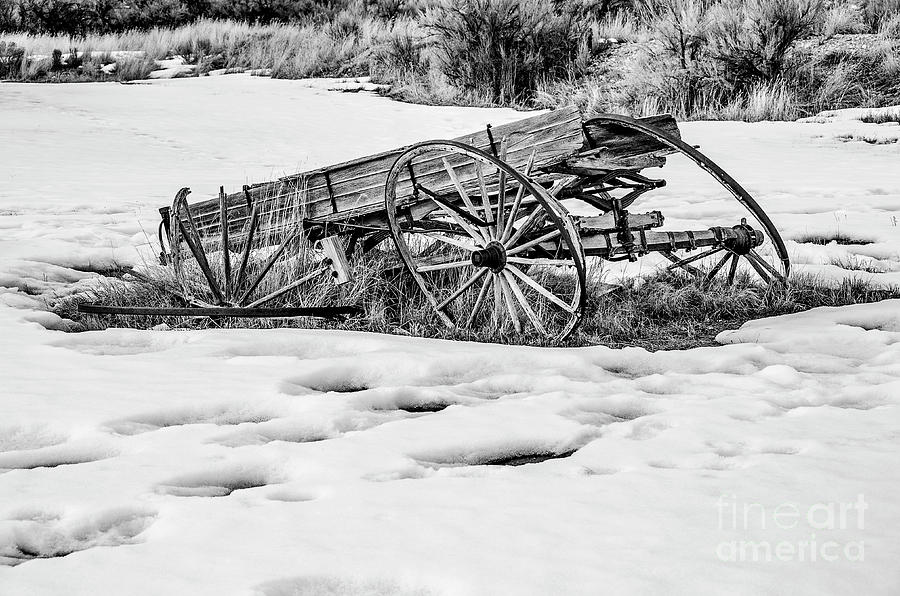 Broken Down Wagon in Black and White Photograph by Sue Smith