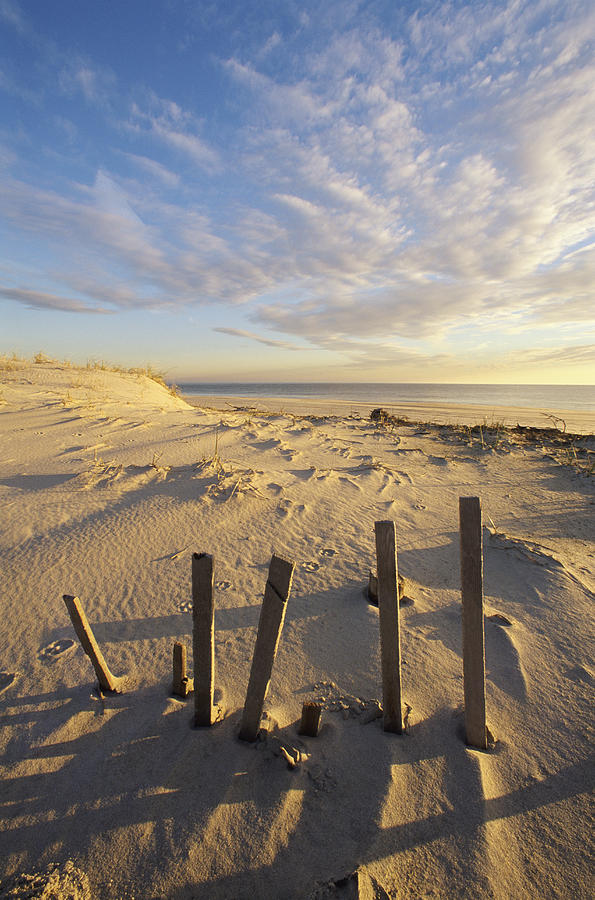 Broken Fence on the Beach at Cape Henlopen, Lewes, Delaware, USA Photograph by Tony Sweet