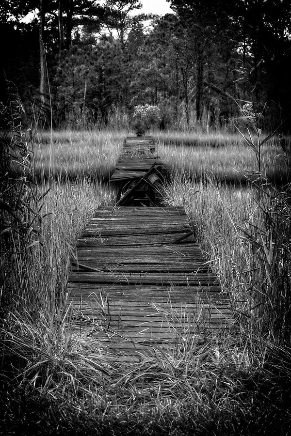 Broken Path Photograph by Alan Raasch