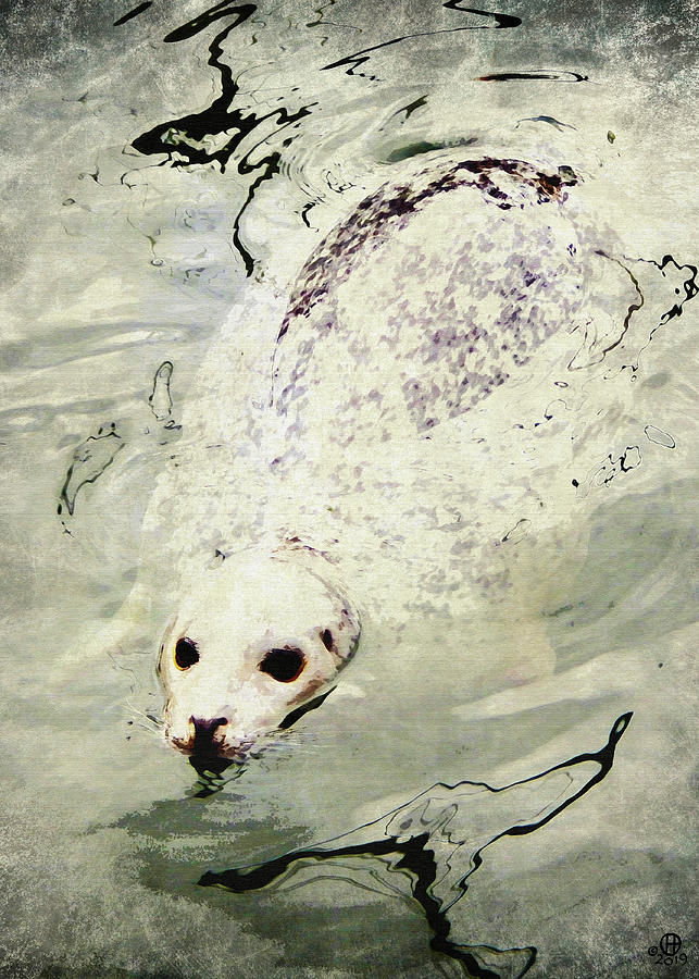 Broken Seal Digital Art by Gary Olsen-Hasek