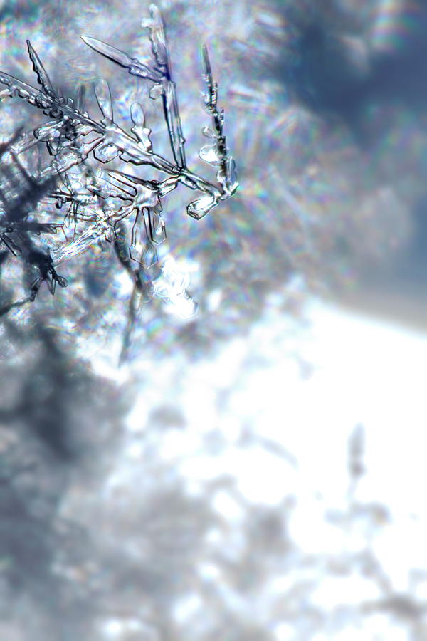Broken snowflake Photograph by Ulrich Kunst And Bettina Scheidulin