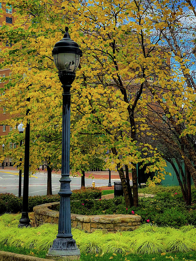 Broken Street Lamp and Fall Colors Photograph by Lora J Wilson