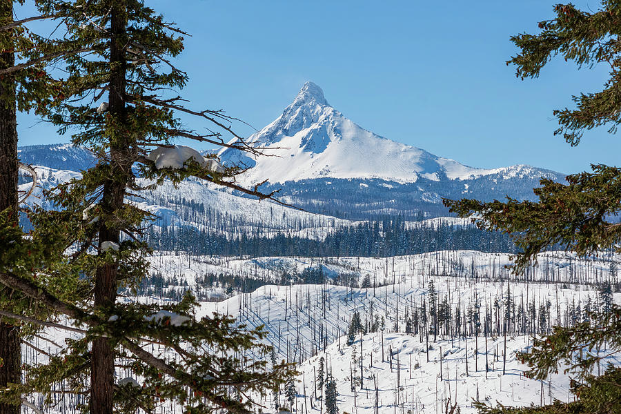 Broken Top Sister Mountain, Oregon, Winter Photograph by Tatiana Travelways