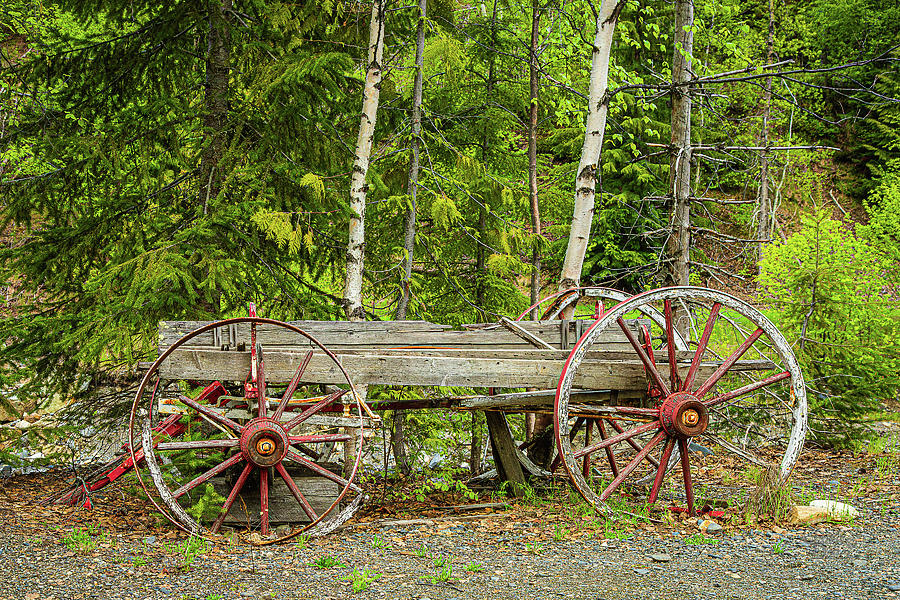 Broken Wagon Photograph by Claude Dalley