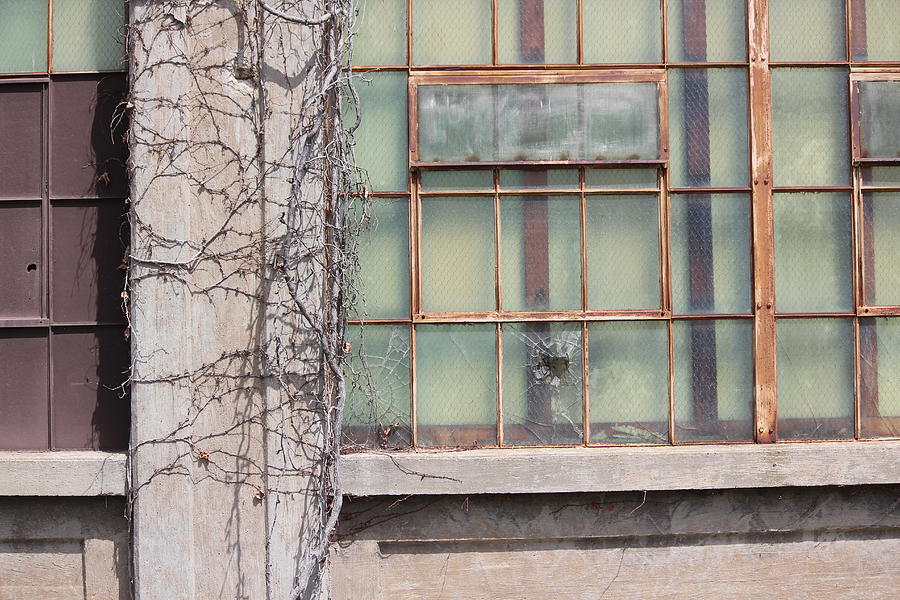 Window Photograph - Broken Window by Callen Harty